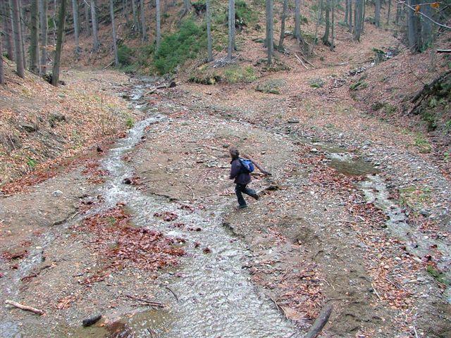2006_1117_113335 (2) Jiřič běží korytem
